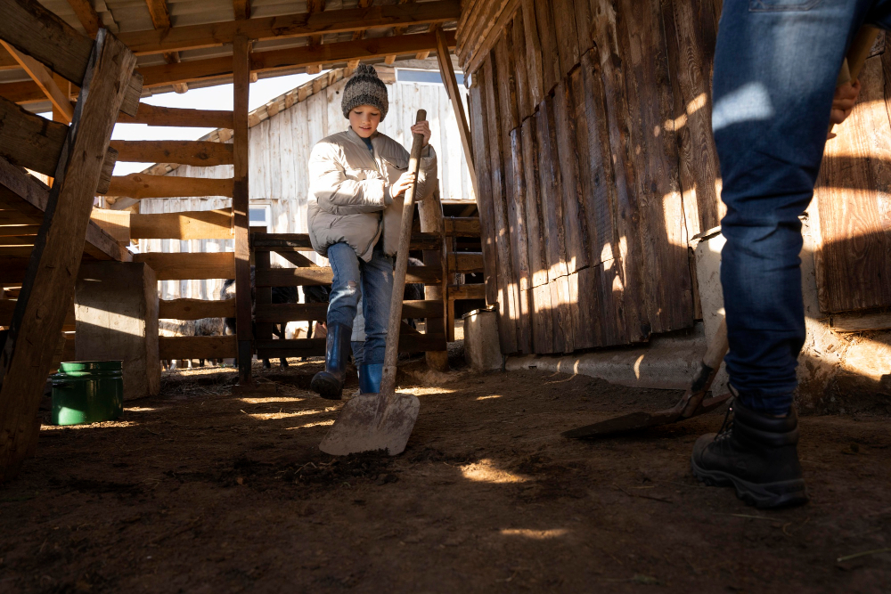 How Basement Excavation Can Increase Property Value
