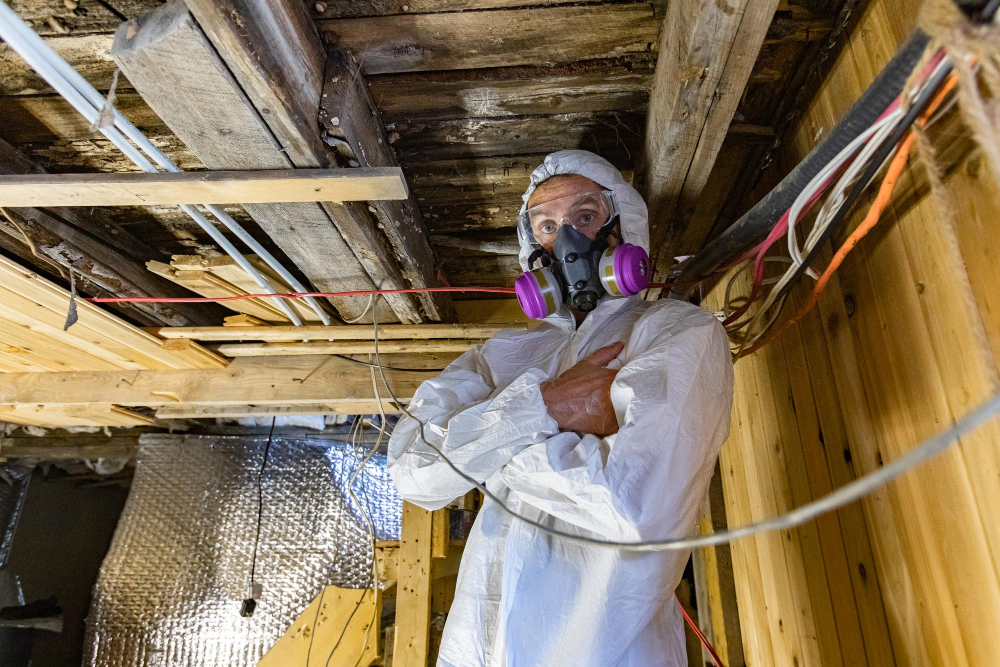 Understanding the Difference Between Asbestos Survey and Removal